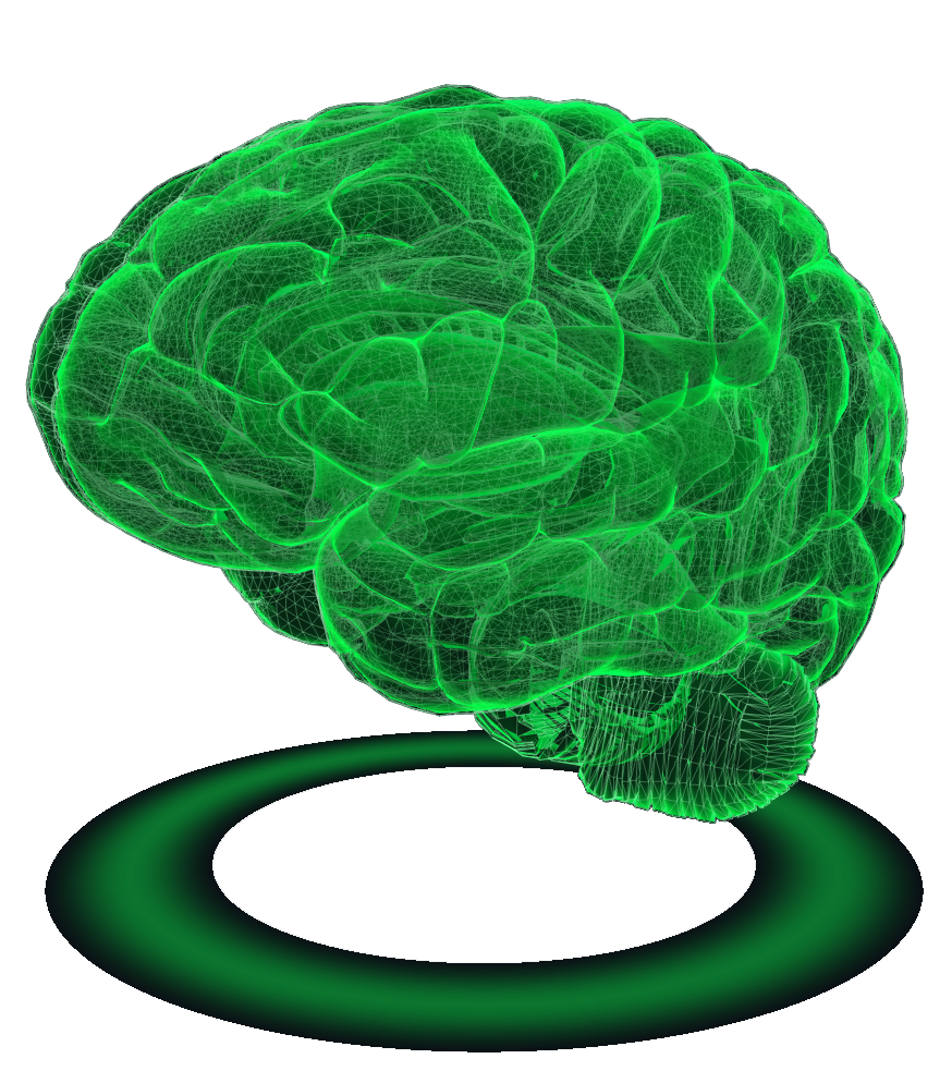 Brain visualization